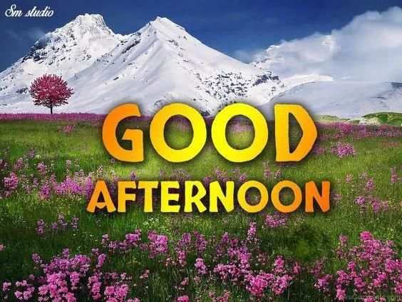 Daily Wishes Greetings स्क्रीनशॉट 4