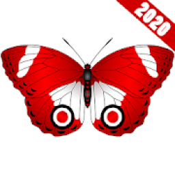 WAStickerApps - Butterfly Stickers for WA 2020 आइकन