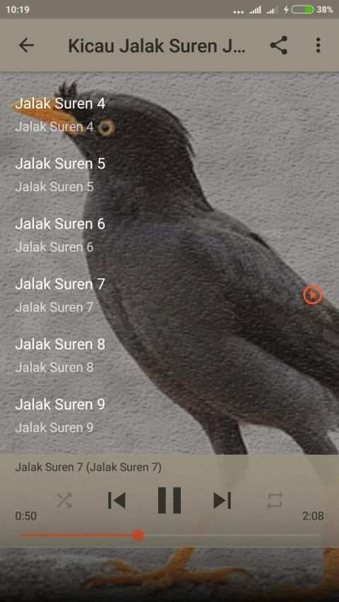 Suara Burung Jalak Kebo Gacor screenshot 1
