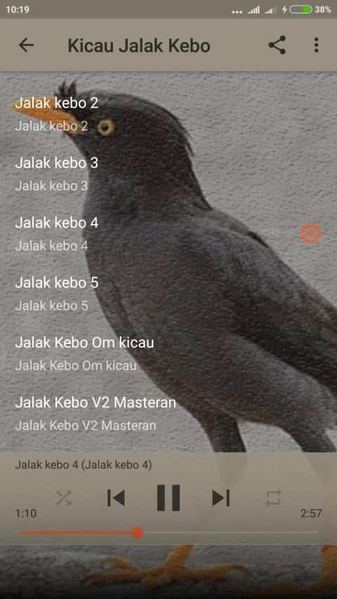 Suara Burung Jalak Kebo Gacor screenshot 3