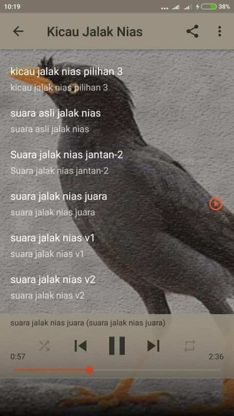 Suara Burung Jalak Kebo Gacor screenshot 2