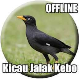 Suara Burung Jalak Kebo Gacor icon