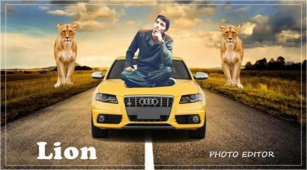 Lion Photo Editer 2020 screenshot 3