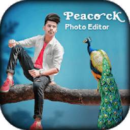 Peacock Photo Editor