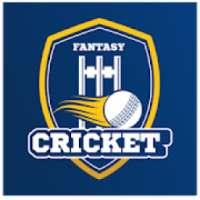 Fantasy Cricket App