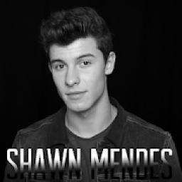ikon Shawn Mendes-Free MP3 ( Song Offline)