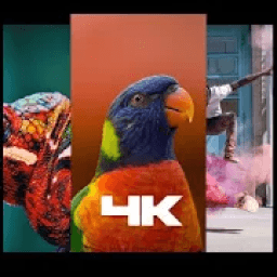 خلفيات رومانسيه وطبيعية ومتحركة وحزينة بجودة عالية
‎ icon