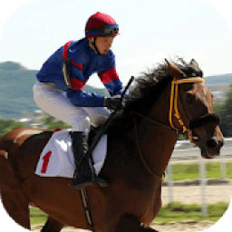 ikon Jump Race Horse Racing