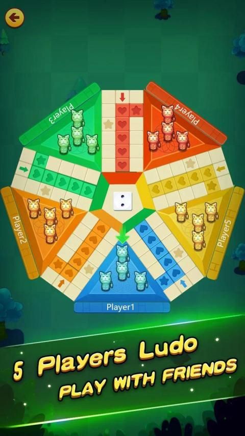 Ludo Player स्क्रीनशॉट 5