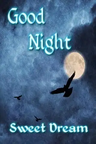 Ucapan Selamat Malam Apk Download 2021 Free 9apps