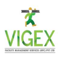 Vigex Services