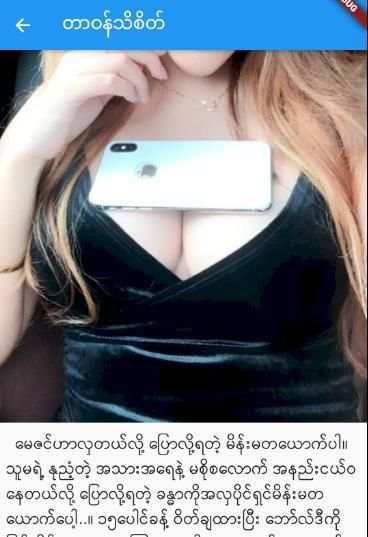 Apyar Book - အပြာစာအုပ်များ screenshot 2
