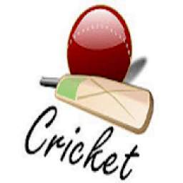 MSL Cricket Prediction - Mzansi Tips