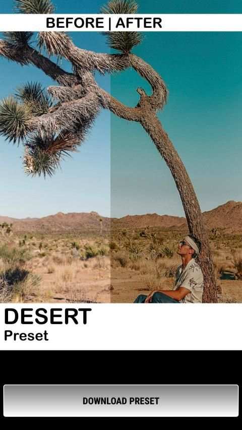 Free Lightroom Presets for Photos screenshot 2