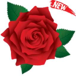 WAStickerApps-Roses