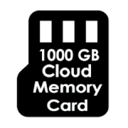 ikon 1000 GB Cloud Memory Card