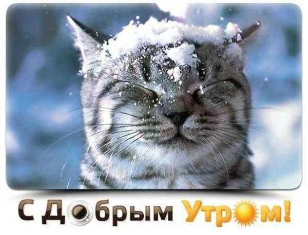 С Добрым Зимним Утром screenshot 13