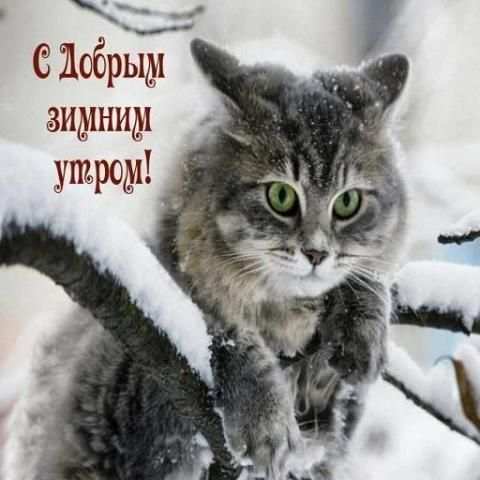 С Добрым Зимним Утром screenshot 4