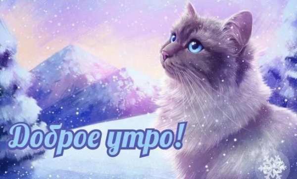 С Добрым Зимним Утром screenshot 1