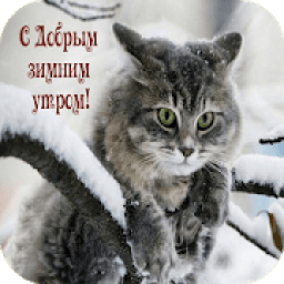 С Добрым Зимним Утром icon