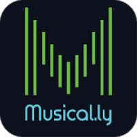 Magical.ly : MusicBit Lyrical Video Status Maker on 9Apps