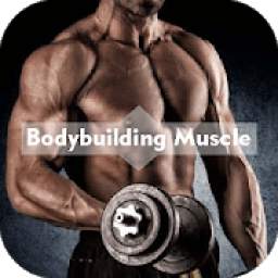 Bodybuilding Muscle Anatomy & Training Tutorial