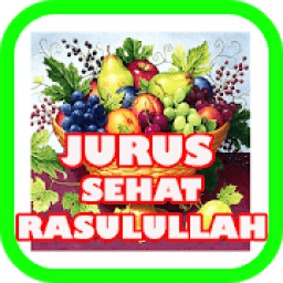 Jurus Sehat Rasulullah-JSR icon