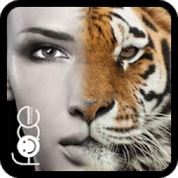 Beauty Face Plus : face morphing