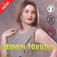 Sebnem Tovuzlu 2020