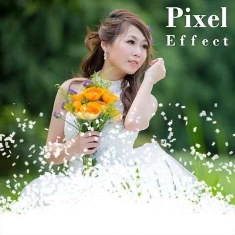 Phosina Pixel Effect : Photo Editor screenshot 5