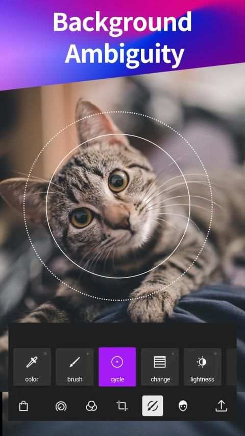 Pictrace 3 تصوير الشاشة