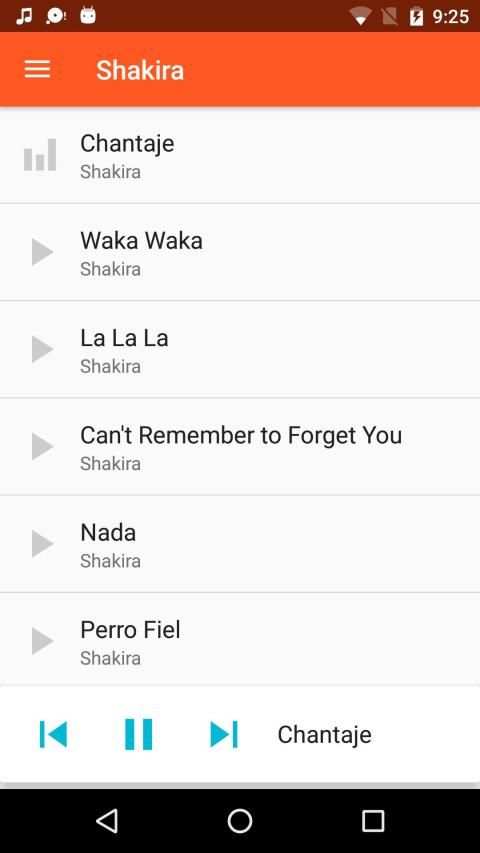 Shakira Songs Offline Music (all songs) screenshot 3