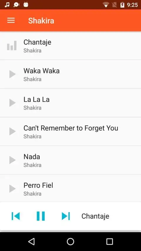 Shakira Songs Offline Music (all songs) screenshot 3