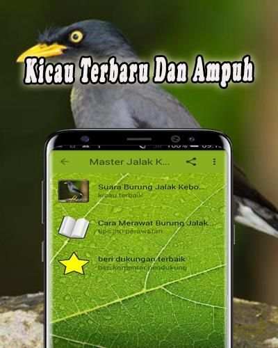 Masteran Jalak Kebo Offline screenshot 3
