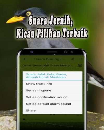 Masteran Jalak Kebo Offline screenshot 1