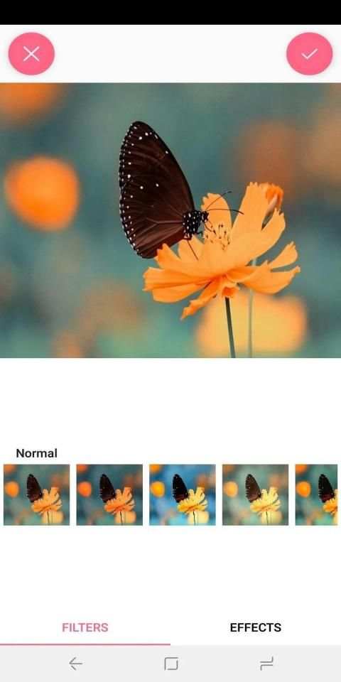 Text On Photo screenshot 3