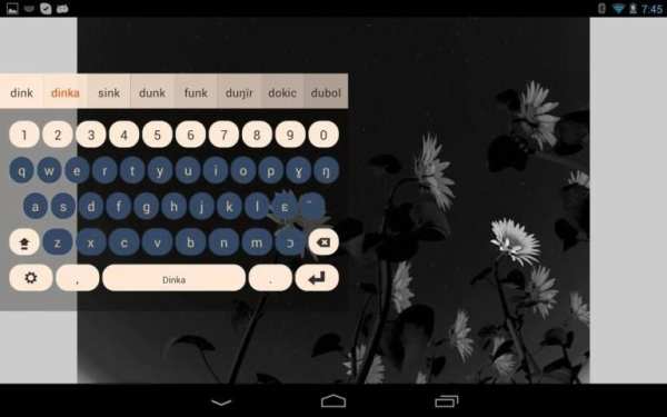 Dinka Keyboard Plugin screenshot 3