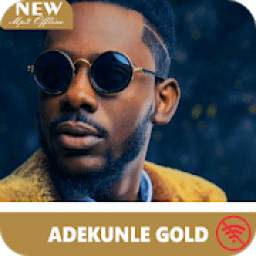 Adekunle Gold 1.0