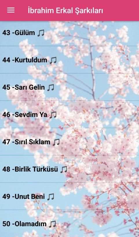 İbrahim Erkal Şarkıları (internetsiz) screenshot 2