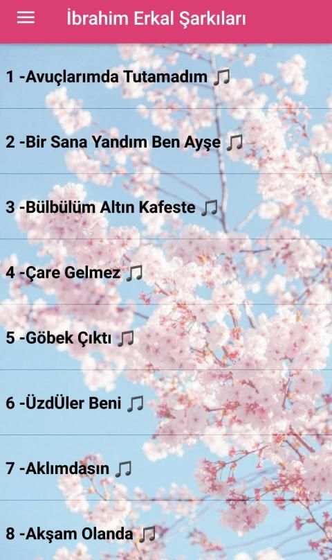İbrahim Erkal Şarkıları (internetsiz) screenshot 1