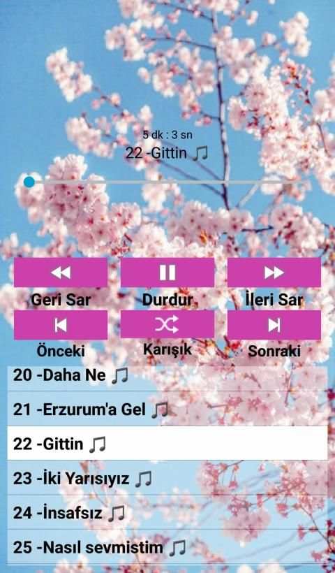 İbrahim Erkal Şarkıları (internetsiz) screenshot 4