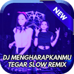 DJ Mengharapkanmu Remix MP3 أيقونة