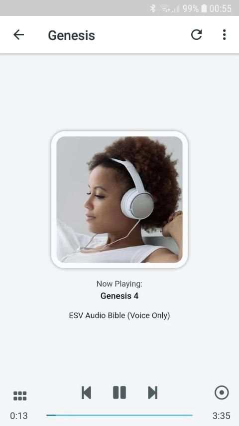 English Audio Bible - ESV स्क्रीनशॉट 4