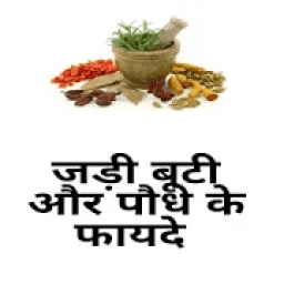 Jadi Buti Ke Fayde Aur Ilaj icon