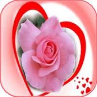 Beautiful Romantic Flowers And Roses