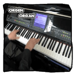 Top Orgen Tunggal icon