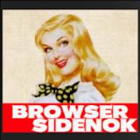 Browser Sidenok - Browser Anti Blokir Baru Gratis