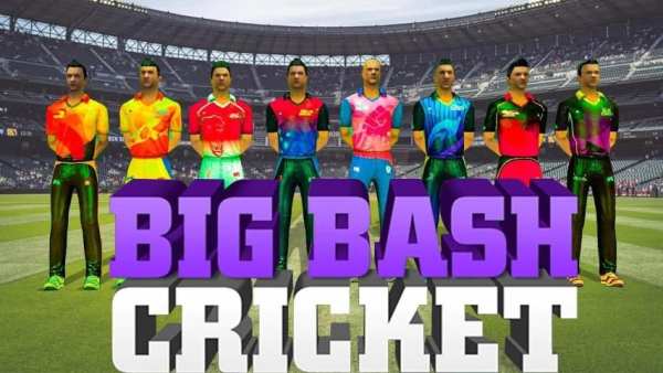 Big Bash Cricket Game ; Real Cricket screenshot 3