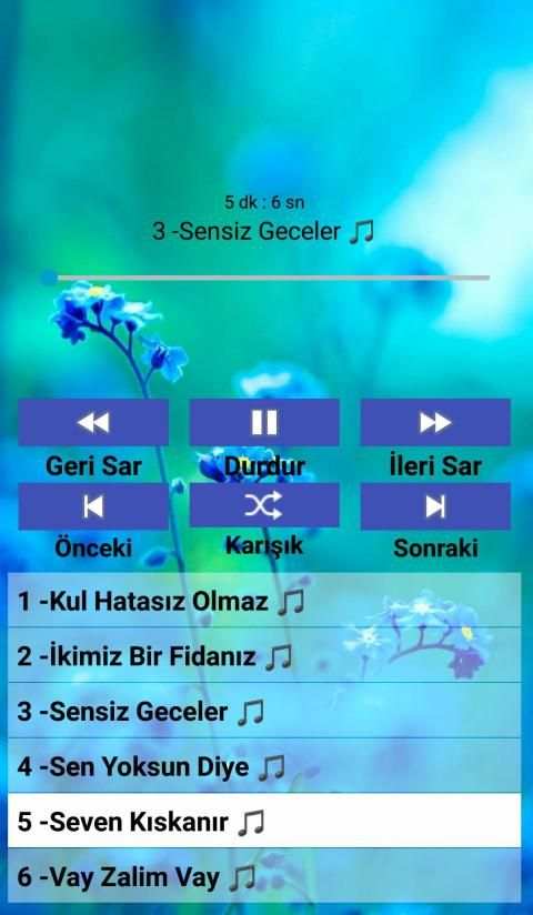 Hakkı Bulut Sarkıları(internetsiz) screenshot 6