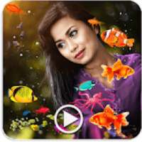 Photo Aquarium Video Creator
